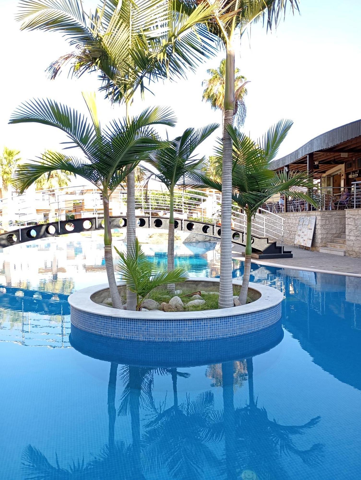 Pagona Holiday Apartments Paphos Luaran gambar